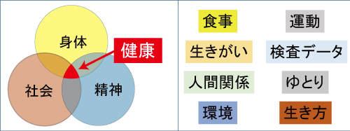 亜鉛、牡蠣、テストステロン